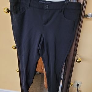 Torrid Studio Ponte Pants